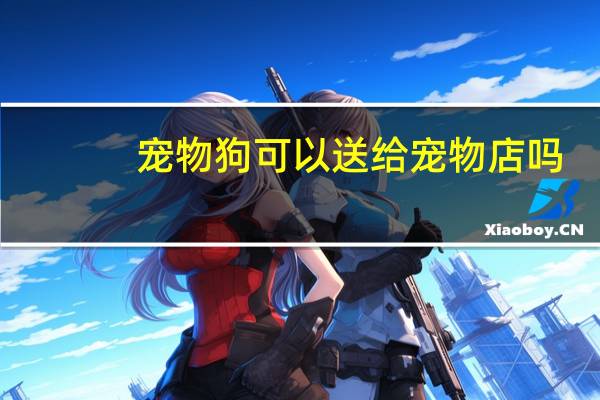 宠物狗可以送给宠物店吗