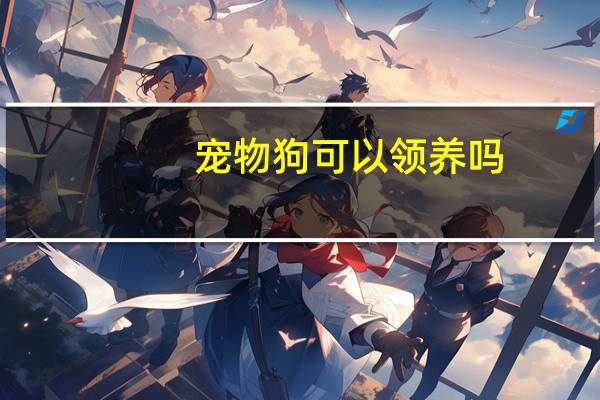 宠物狗可以领养吗