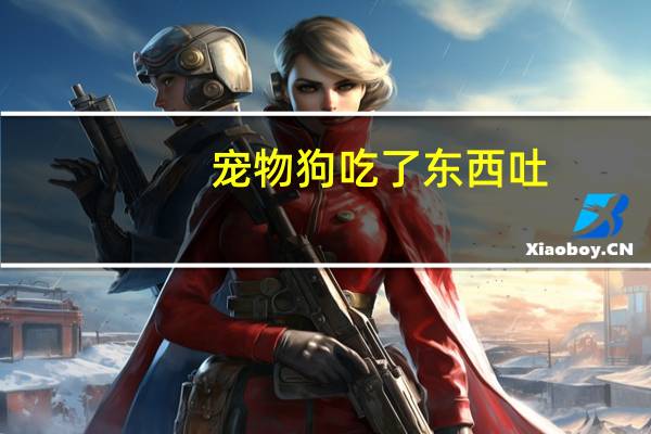 宠物狗吃了东西吐