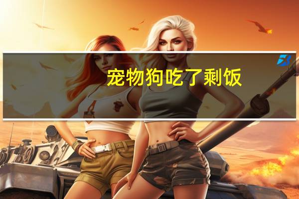 宠物狗吃了剩饭