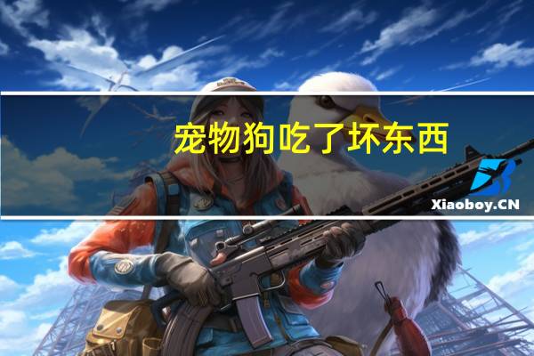 宠物狗吃了坏东西