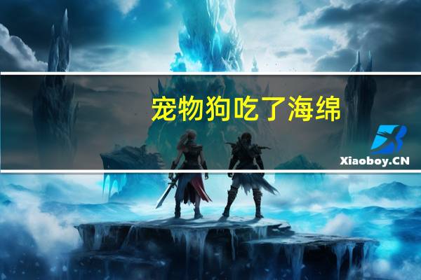 宠物狗吃了海绵