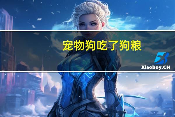 宠物狗吃了狗粮