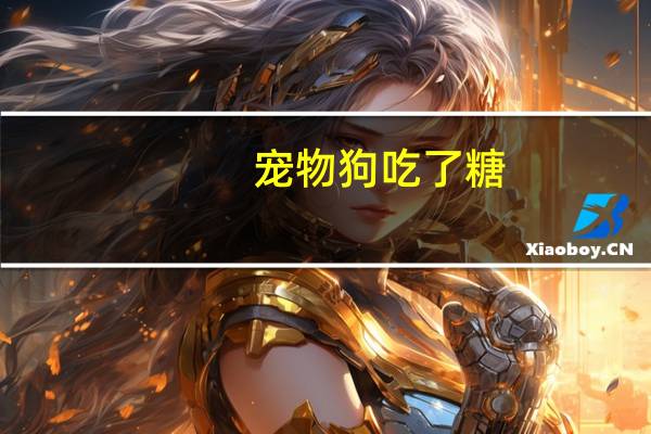 宠物狗吃了糖