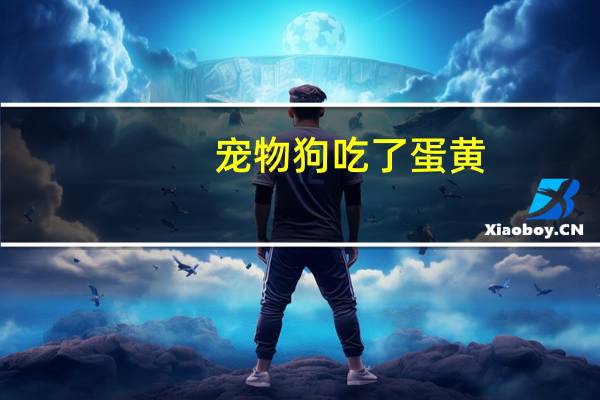宠物狗吃了蛋黄