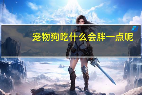 宠物狗吃什么会胖一点呢
