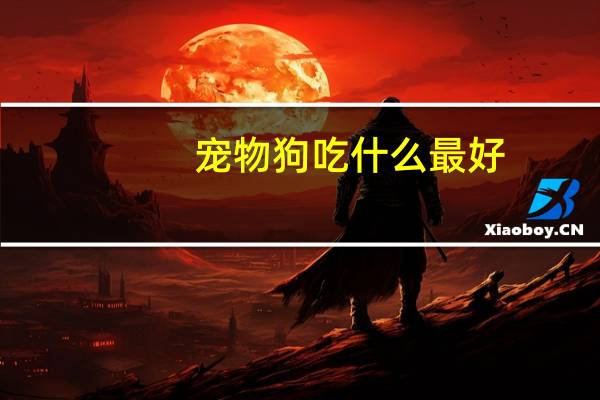 宠物狗吃什么最好