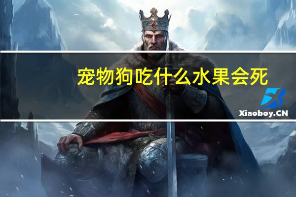 宠物狗吃什么水果会死