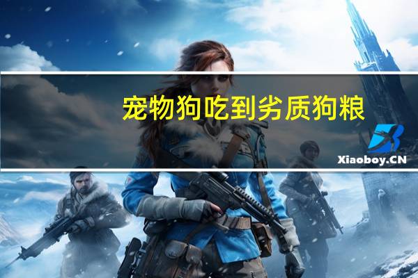 宠物狗吃到劣质狗粮