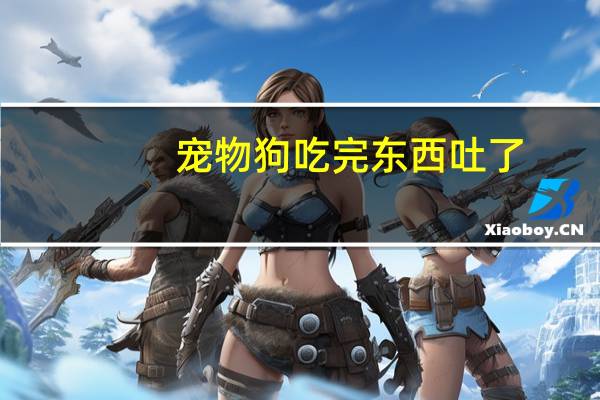 宠物狗吃完东西吐了