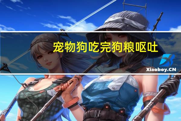 宠物狗吃完狗粮呕吐