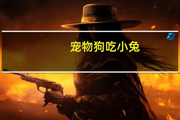 宠物狗吃小兔