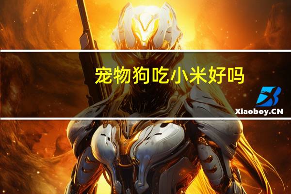 宠物狗吃小米好吗