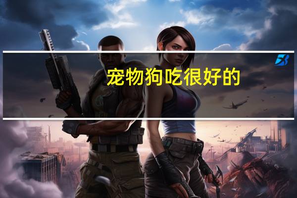 宠物狗吃很好的