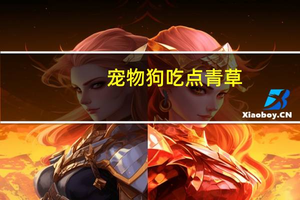 宠物狗吃点青草