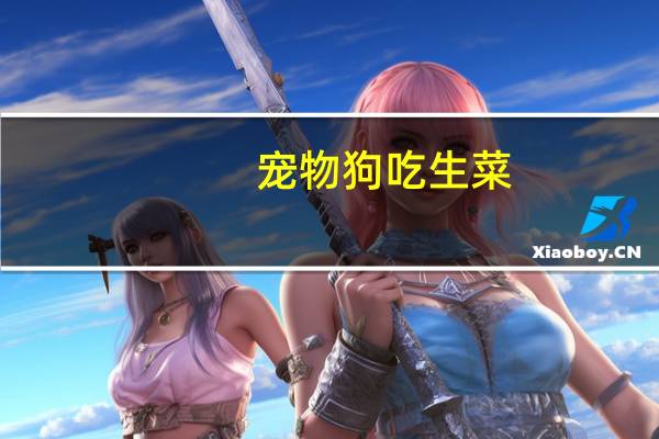 宠物狗吃生菜