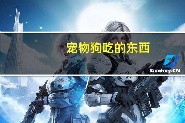 宠物狗吃的东西