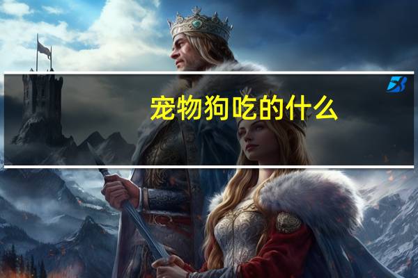 宠物狗吃的什么