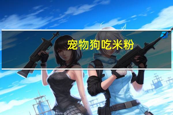宠物狗吃米粉