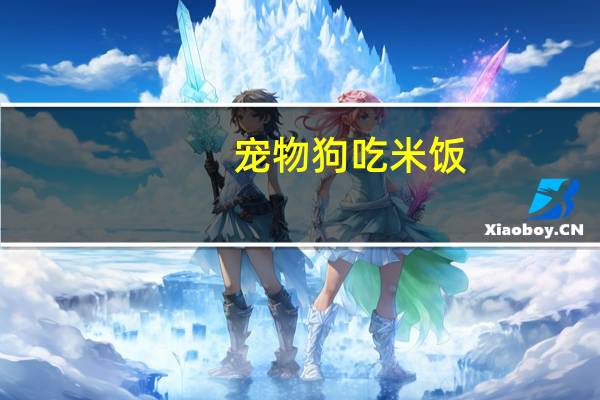 宠物狗吃米饭