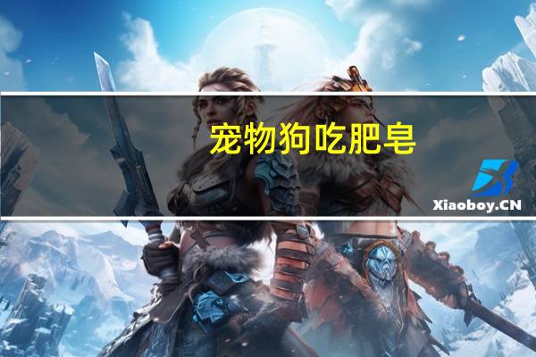 宠物狗吃肥皂