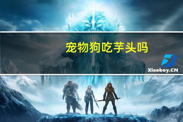 宠物狗吃芋头吗