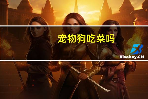 宠物狗吃菜吗