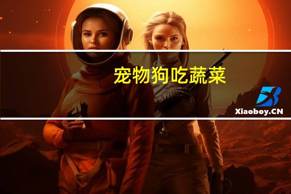 宠物狗吃蔬菜