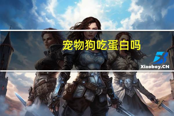 宠物狗吃蛋白吗