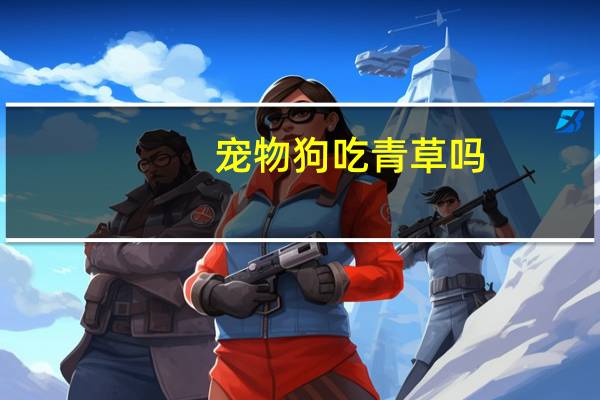 宠物狗吃青草吗