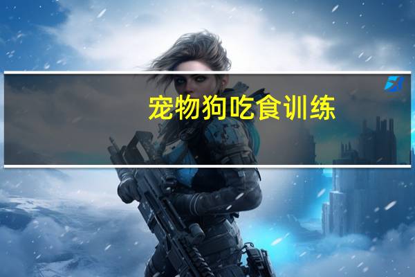 宠物狗吃食训练
