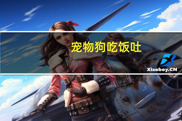 宠物狗吃饭吐
