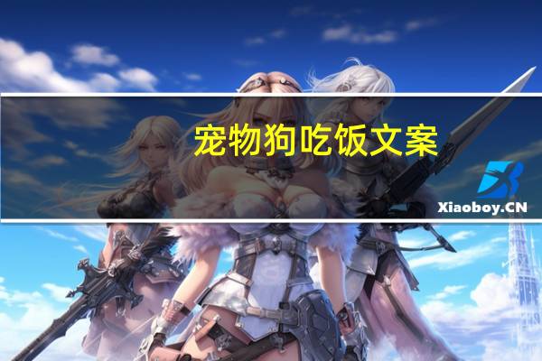 宠物狗吃饭文案