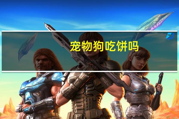 宠物狗吃饼吗