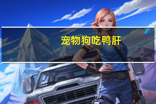 宠物狗吃鸭肝