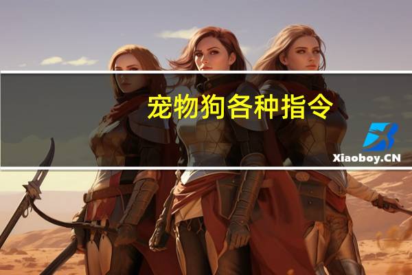 宠物狗各种指令