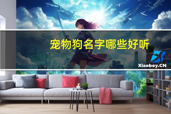 宠物狗名字哪些好听
