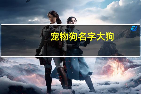 宠物狗名字大狗