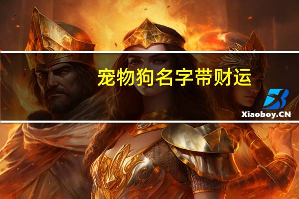 宠物狗名字带财运