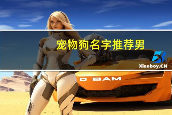 宠物狗名字推荐男