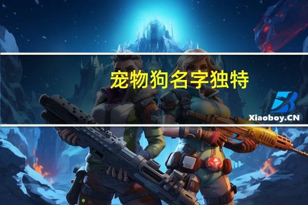 宠物狗名字独特