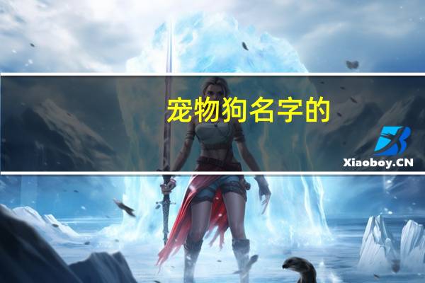 宠物狗名字的