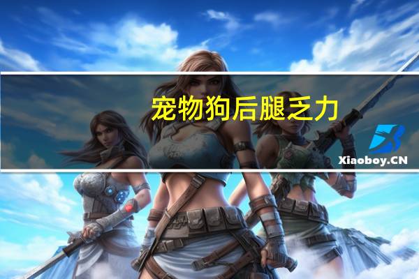 宠物狗后腿乏力