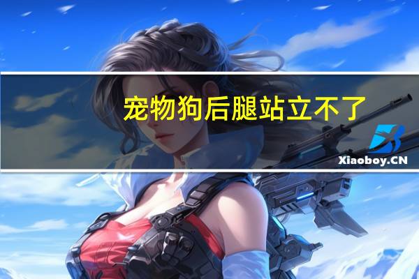 宠物狗后腿站立不了