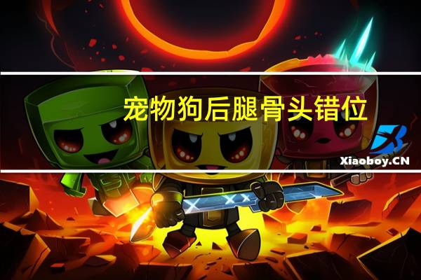 宠物狗后腿骨头错位