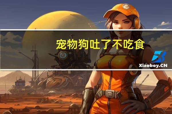 宠物狗吐了不吃食