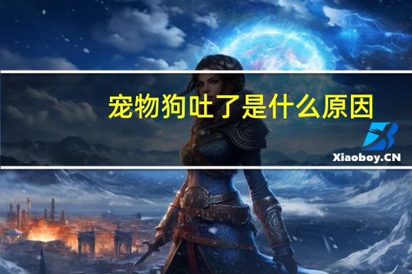 宠物狗吐了是什么原因