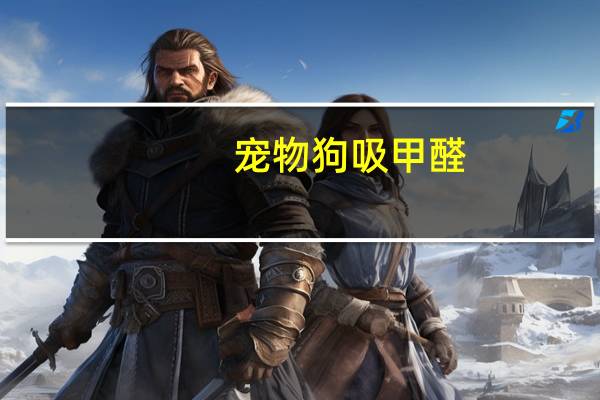 宠物狗吸甲醛