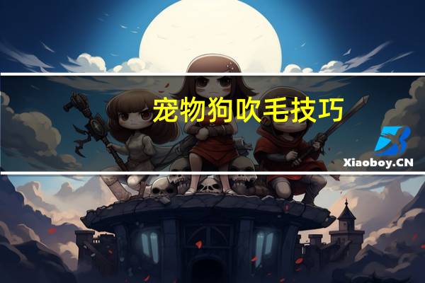 宠物狗吹毛技巧