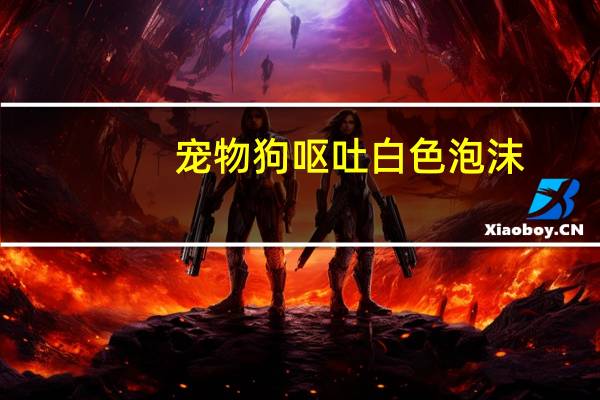 宠物狗呕吐白色泡沫
